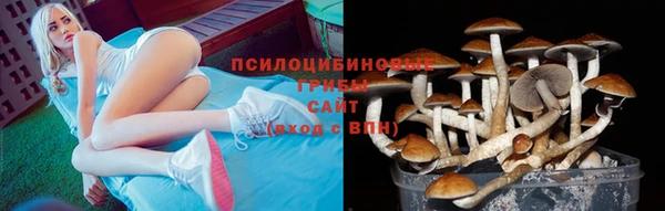 MESCALINE Аркадак