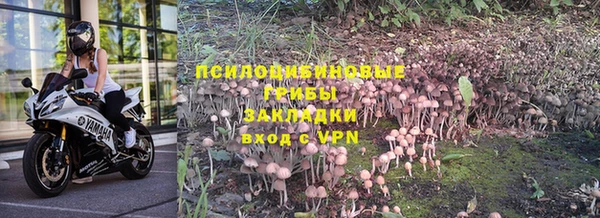 MESCALINE Аркадак