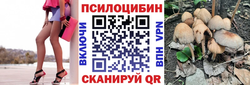 Галлюциногенные грибы GOLDEN TEACHER  mega вход  Пудож 